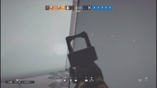 What 1000 hours of Bandit looks like