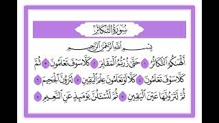 102 سورة التكاثر الشيخ محمد صديق المنشاوي رحمه الله