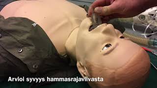 Ensivastekoulutus-Igel