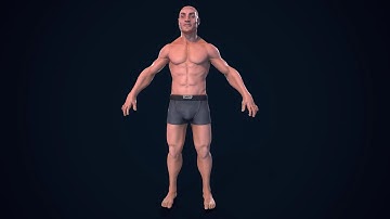 Male Base Mesh