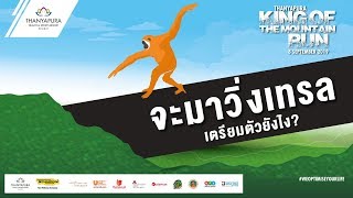 จะมาวิ่งเทรล เตรียมตัวยังไง? | What Should Be Prepared For This King of The Mountain Trail Run?