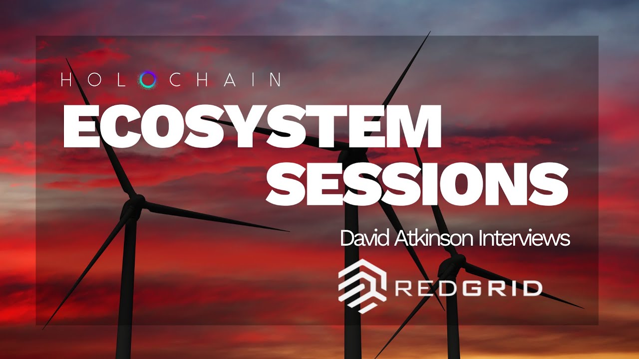 Holochain Ecosystem Sessions – David Atkinson interviews Architect Mike and CEO Adam from RedGrid