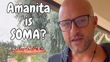 Was Amanita Muscaria the Original Elixir of Enlightenment?