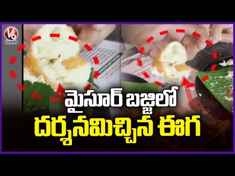 Fly Found In Maisoor Bajji At Babai Hotel In Hyderabad | V6 News - V6NEWSTELUGU