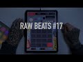 Nervouscook  raw beats 17  ipad koala sampler hip hop jazz vinyl sampling making a beat