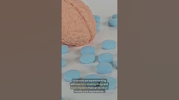 Can Technology Erase Your Memories?