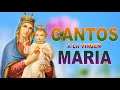 Hermoso canto a la virgen  msica para sanar todos los dolores del cuerpo alma y espritu