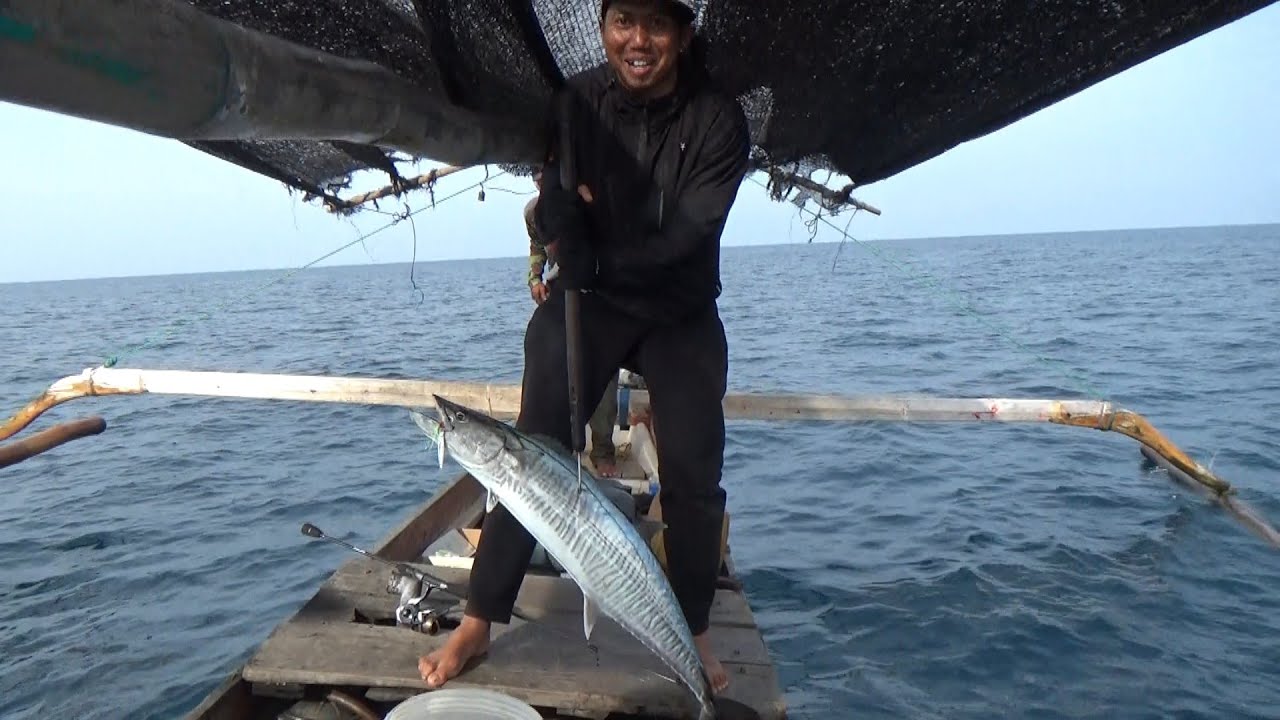 Mancing Ikan Tenggiri Tarikannya Mantap, Bikin Pegal Linu