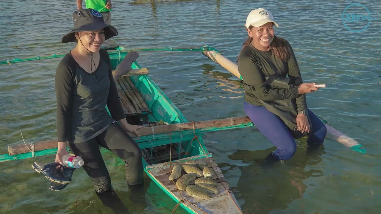 Training Course on Sea Cucumber Farming (2nd 2024 session)