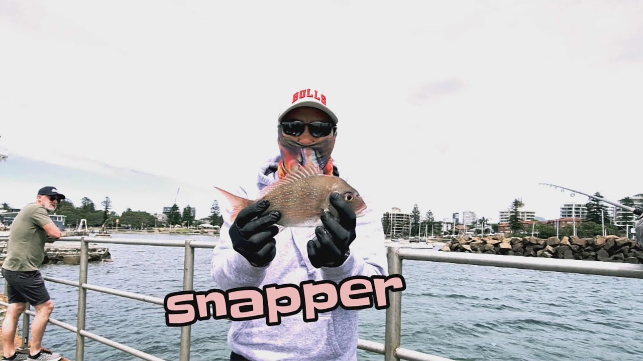 ОТЛИЧНАЯ РЫБАЛКА НА ВЫХОДНЫХ НА ОЗЕРЕ ИЛЛАВАРРА, НОВЫЙ ЮЖНЫЙ ЮЖНЫЙ УГОЛ ###@kidmarino