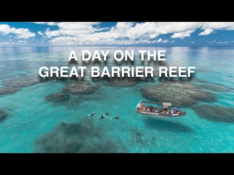 Video: 7 Gründe, Einen Tauchausflug An Bord Zum Great Barrier Reef - Matador Network Zu Buchen