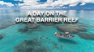 A DAY ON THE GREAT BARRIER REEF | Crystal Clear Waters Meets A Drone!