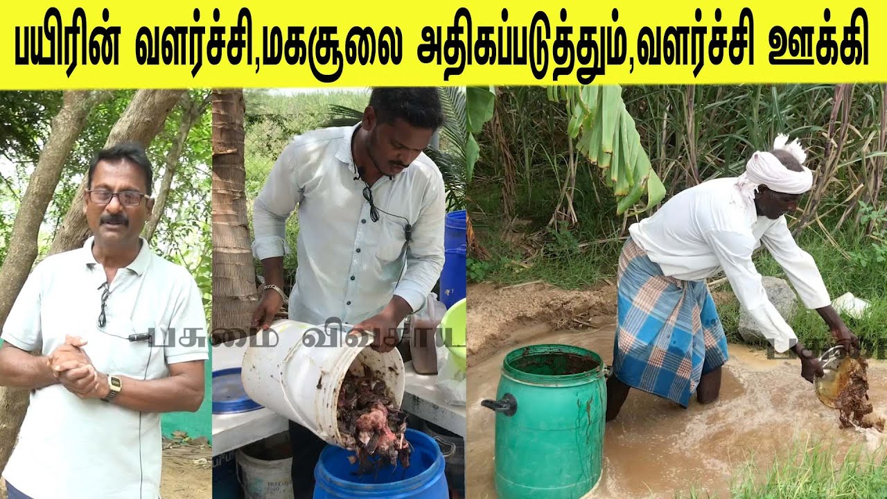 உங்களின் பயிர் வளர்ச்சிக்கு இந்த ஒரு கரைசல் போதும்/This one solution is enough for your crop growth