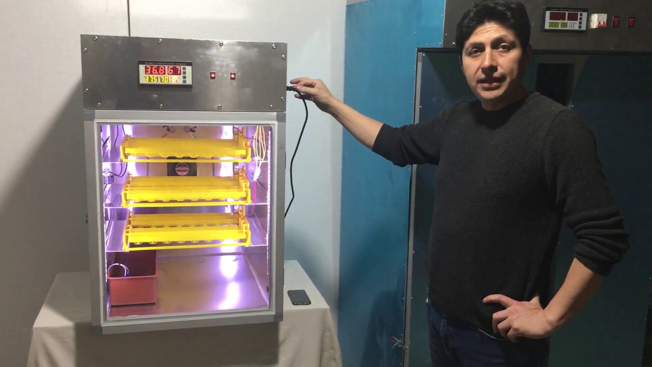 INCUBADORA DE POLLOS AUTOMATICA MODELO TE6000 120V 596usd TESLA AMBATO; Contacto 0984112915