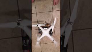 Phantom 1 starting up