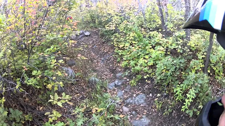 Parrish Creek 2014