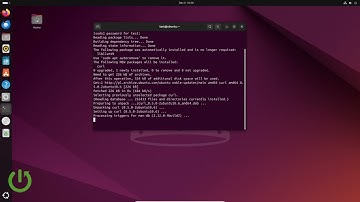 How to Install Ollama on Linux
