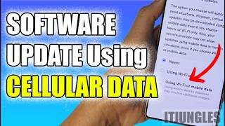 How to Allow Software Update Download Using Cellular Data on Galaxy S25 screenshot 2