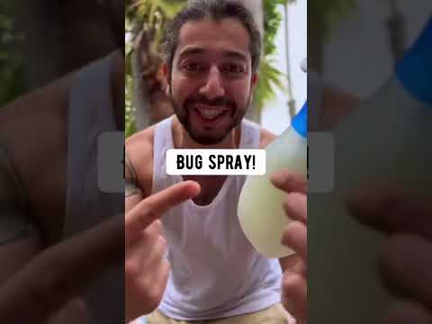 Video: What Is A Capsid Bug: Tips om Capsid Bug Control In The Garden