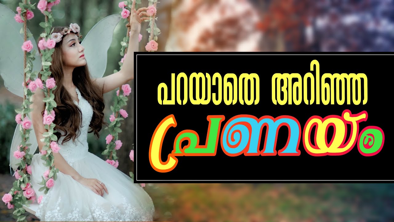 പറയാതെ അറിഞ്ഞ പ്രണയം..Shahul Malayil