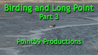 Birding and Long Point, Part 3