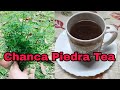 How To Cook Chanca Piedra Tea