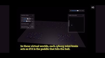 Human brain cells grown in a petri dish learn to play pong faster than computer AI