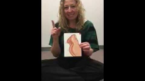 Laura Smith visual cues for apraxia