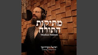 Miniatura de vídeo de "Yisroel Werdyger - Mesikas Hatorah"