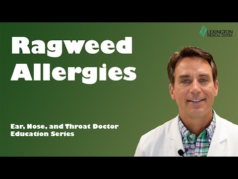 Ragweed Allergy