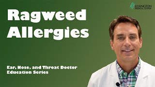Ragweed Allergy