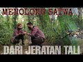 PANJI TOLONG SATWA YANG TERJERAT TALI SAAT BERPETUALANG DI HUTAN