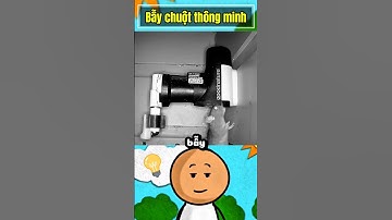 Bẫy chuột thông minh #kienthucthuvi #funfacts #youtubeshorts #shorts #baychuot