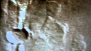 Picture 169.avi