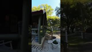 Short Koa Campground Tour Perry, Fl