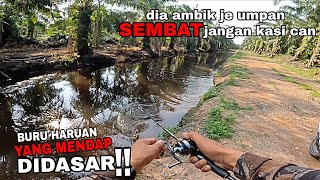 Casting haruan !! Buru haruan yang di dasar guna soft plastic.  screenshot 1