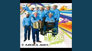 Video thumbnail of "David Lee Garza & Los Musicales - Como Tu Quieres"