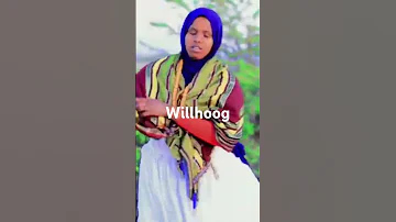 Dhaanto Nuur Gosaar 2025 2024 