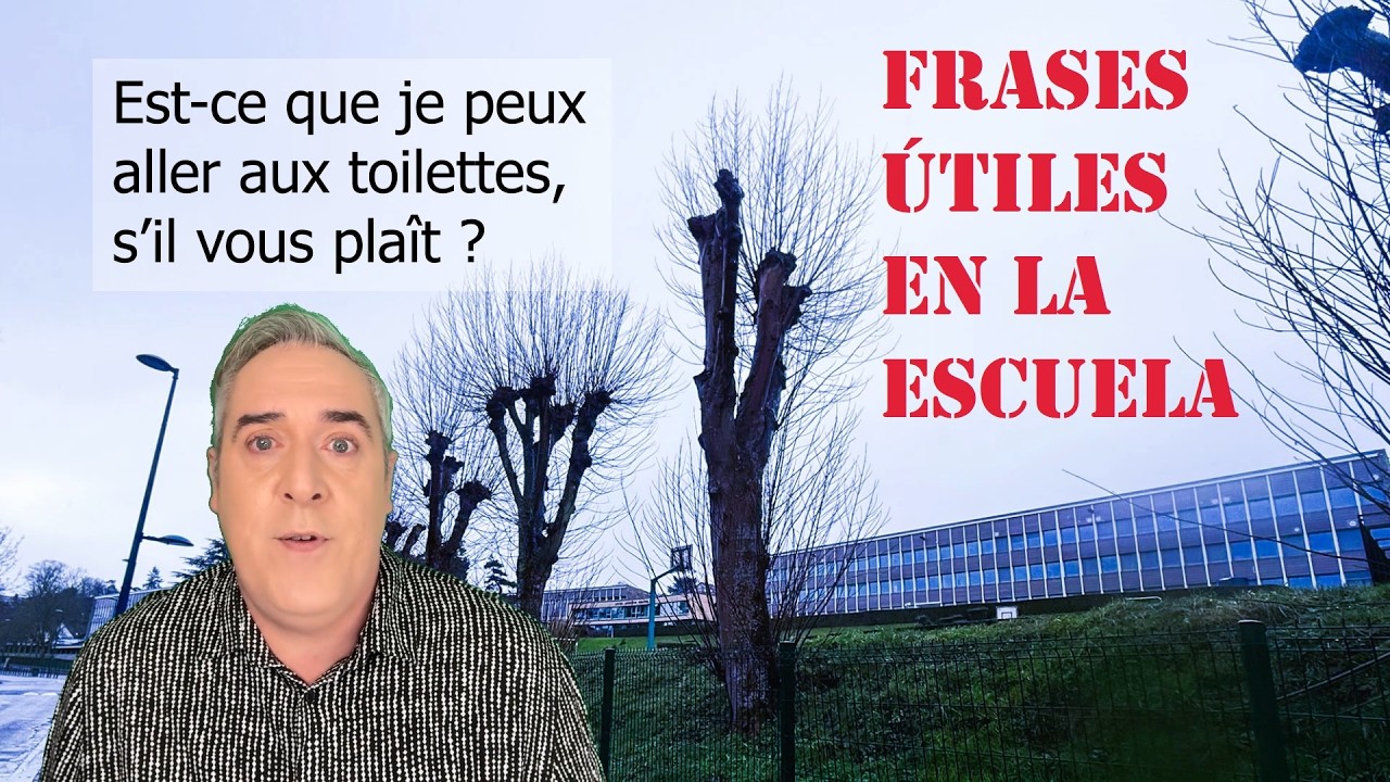 Frases y palabras útiles en la escuela