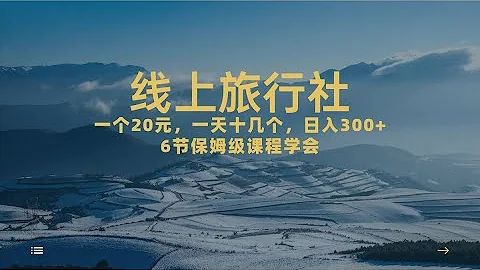 一個20+，作品爆了一天幾十個，日入500+輕輕鬆鬆的線上旅行社，6節保姆… - 天天要聞