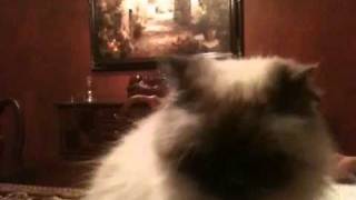 Prince helping Lisa