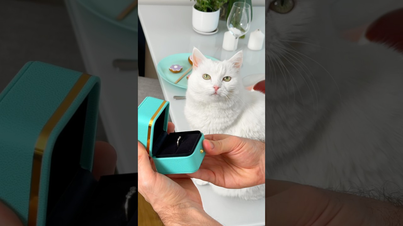 НАДЕЮСЬ ОНА СКАЖЕТ ДА! 💍