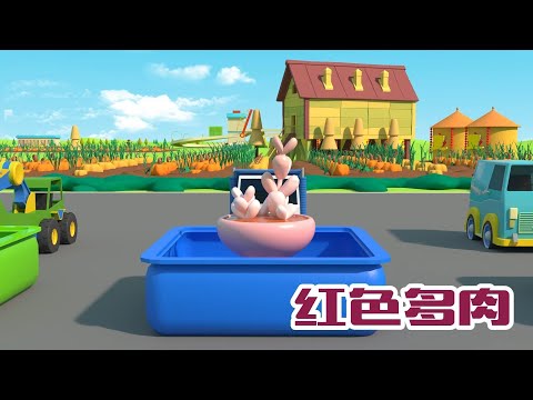 【中英雙語】出發吧，工程車 17丨仙人掌、紅色多肉、白蘭花、萬年青、壹葉蘭丨Baby's Daily English Learning