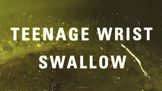 Video thumbnail of "Teenage Wrist - "Swallow""