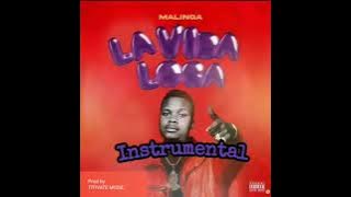 (FREE) Lavida Loca Instrumental -Malinga Mafia type beat