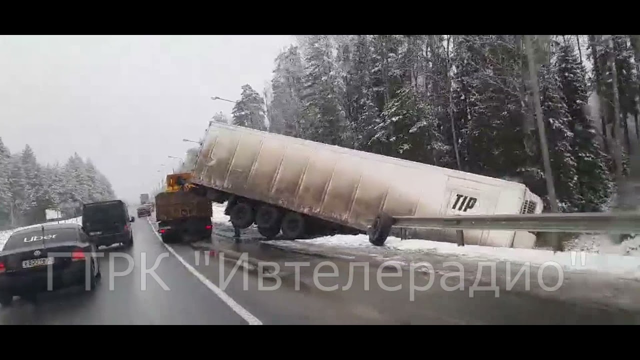 Калина синяя дтп