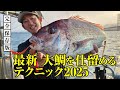 【ビンビンスイッチの本気】大型真鯛を引き寄せる“技”。エキスパートの真骨頂で60→70UP連発！