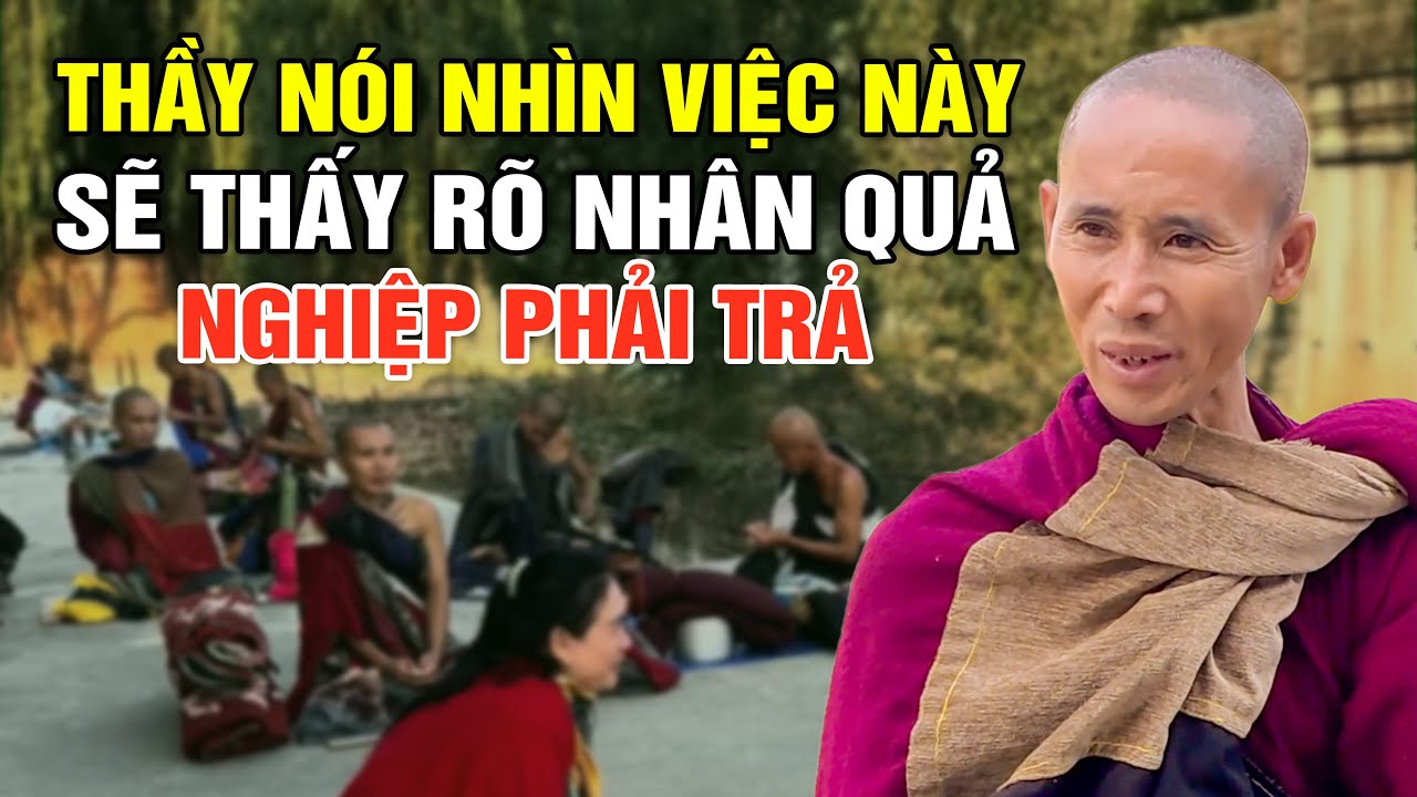 Nhìn Việc Này Sẽ Thấy Rõ Nhân Quả - Thầy Minh Tuệ Nói Nghiệp Đời Trước Kiếp Này Phải Trả