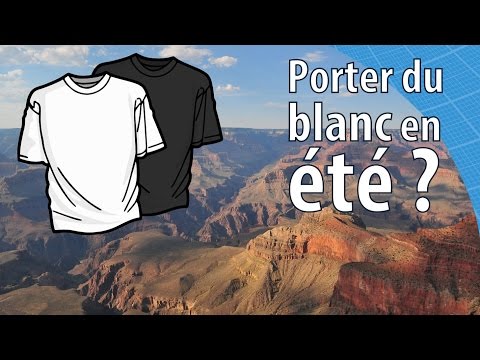 Faut-il VRAIMENT porter du blanc en été ? Feat. Dirty Biology