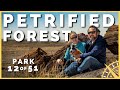 🌳🏜️ Petrified Forest NP: Most Dog Friendly National Park in USA? | 51 Parks with the Newstates